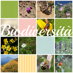 Biodiversita