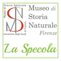 Museo di Storia Naturale di Firenze