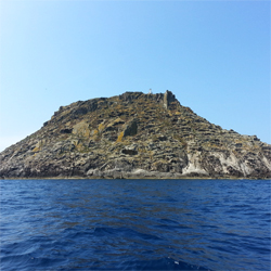Scientific trip to Toro and Vacca islets (SW Sardinia)